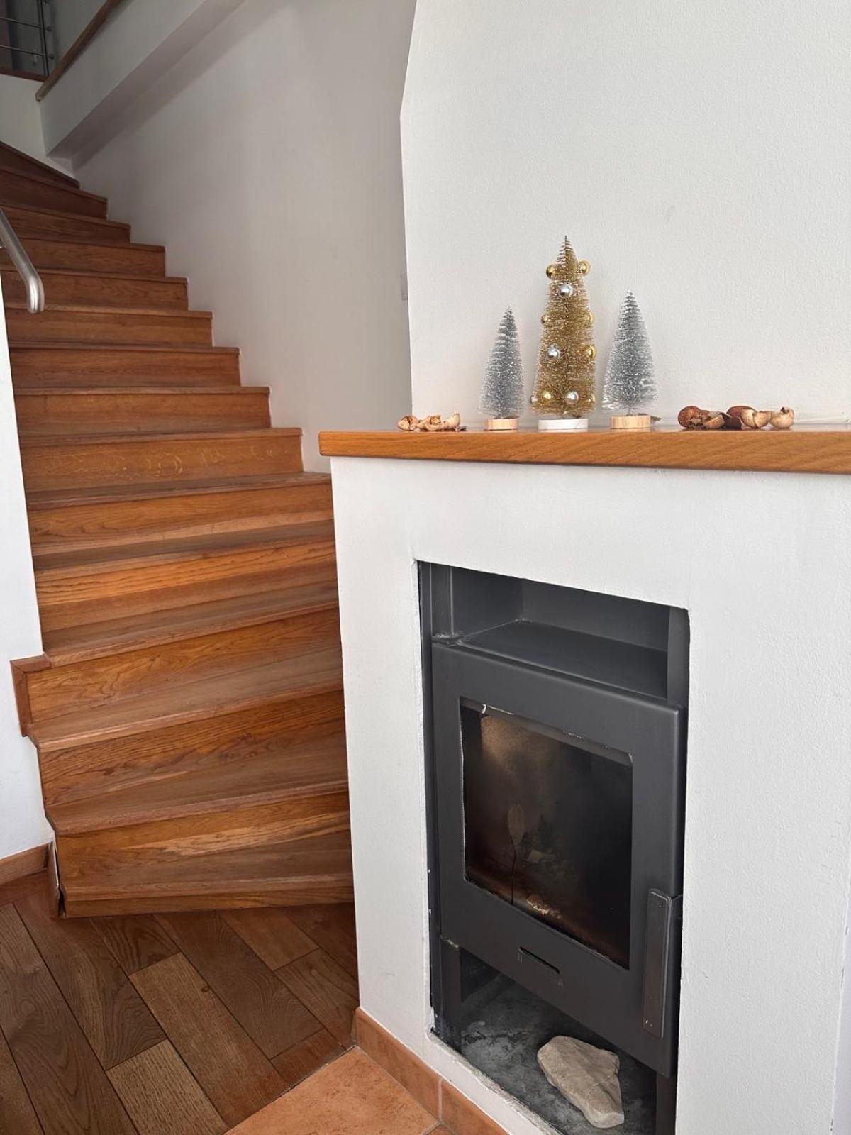 Vila Danin With Free Garage,Stari Grad Sarajevo Ngoại thất bức ảnh